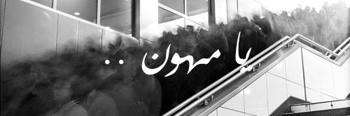 Raana213's profile banner image
