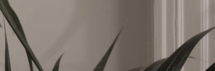 danncaroline's profile banner image