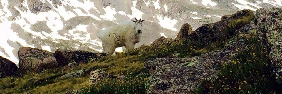 liamlamb123's profile banner image