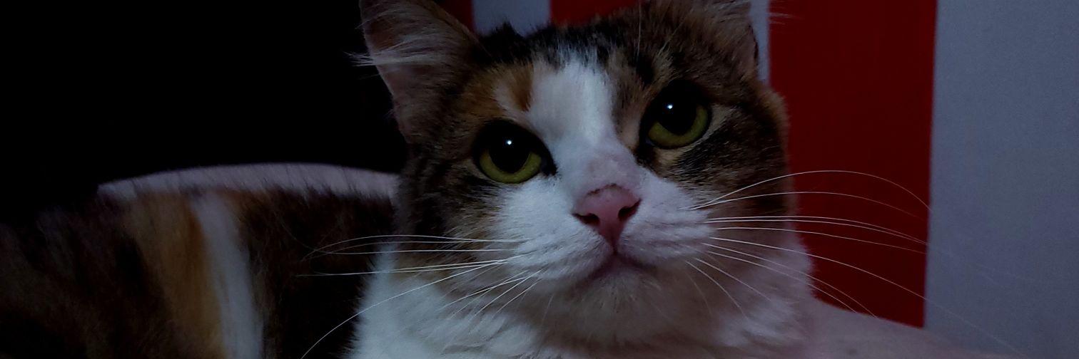 facuD_'s profile banner image