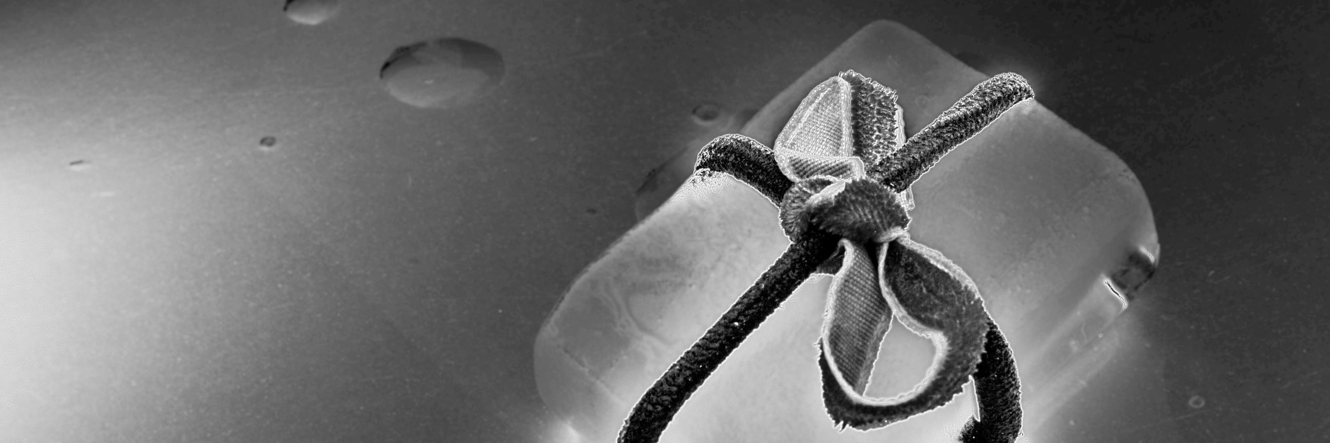 gonfaz's profile banner image