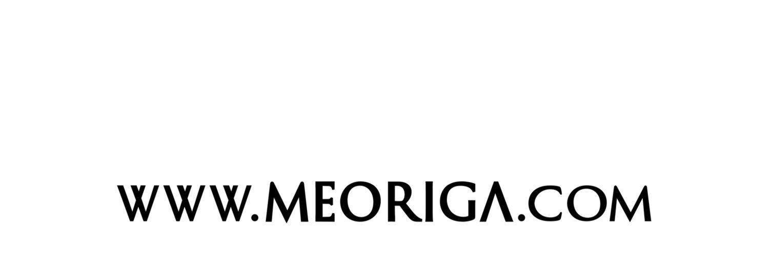 Bodegas Meoriga banner