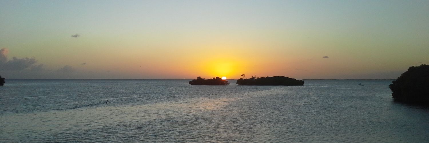 LoQuiYoPR1's profile banner image