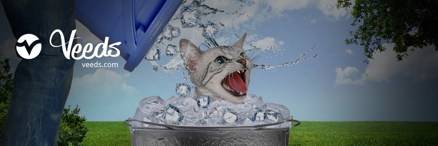 veedsfails's profile banner image