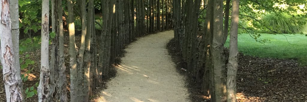 kerrydevoogd's profile banner image