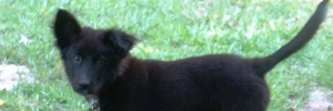 ZCoward's profile banner image