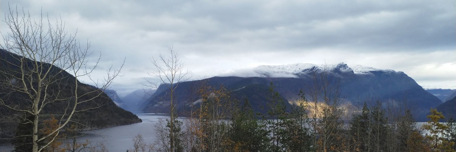 Leif Inge Bergslid banner