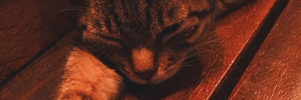 barchever's profile banner image