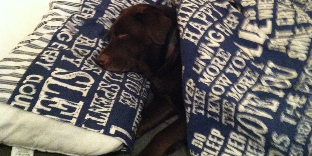 James Simpson banner