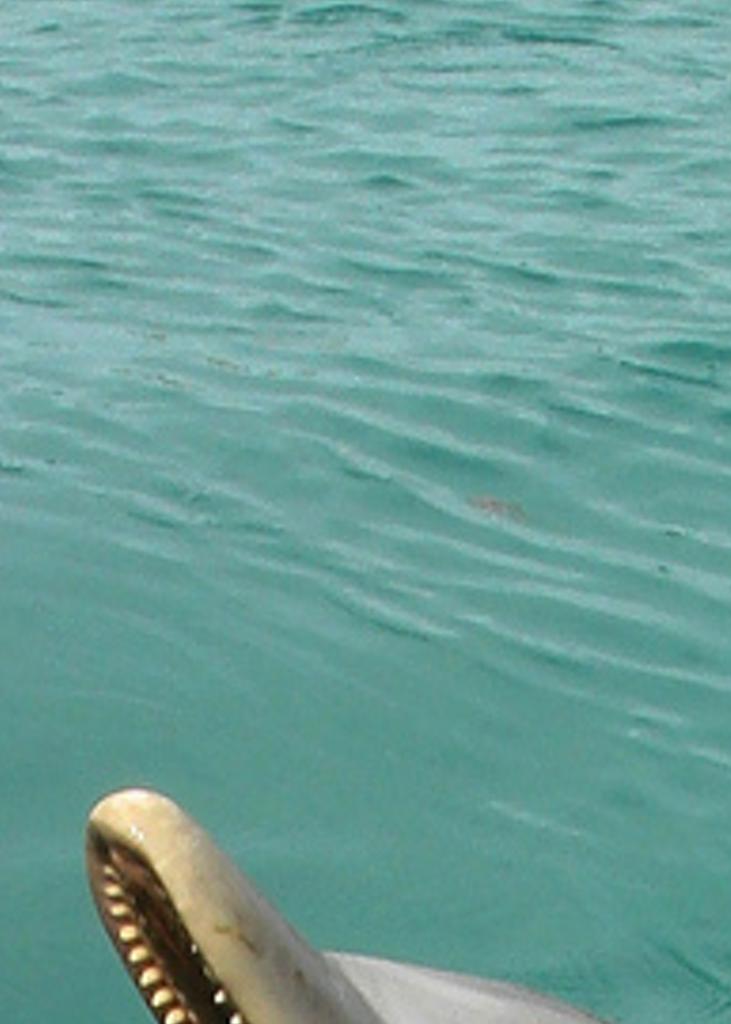 etaloratron's profile banner image