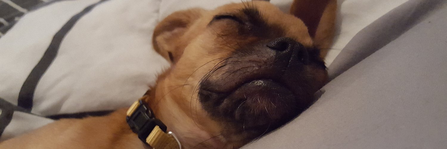 sylviechick's profile banner image