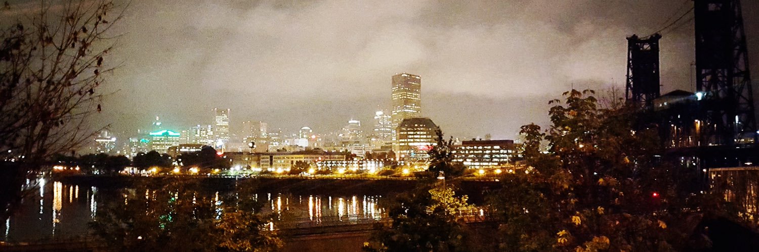 PDXRiotNinja's profile banner image