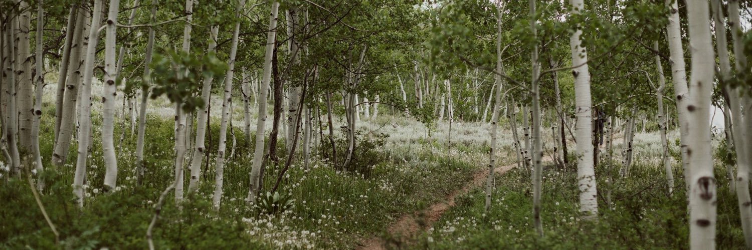 k__timberlake's profile banner image