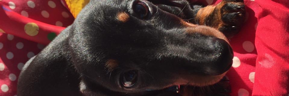martudubini's profile banner image