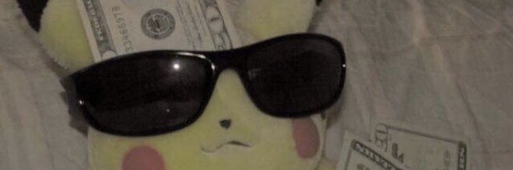Devin banner