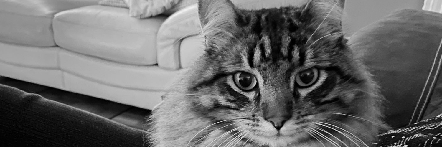 mr__rusty's profile banner image