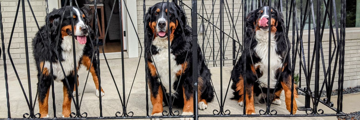 Brian Chaisson 🐾🐾🐾🚵‍♂️🇨🇦 banner