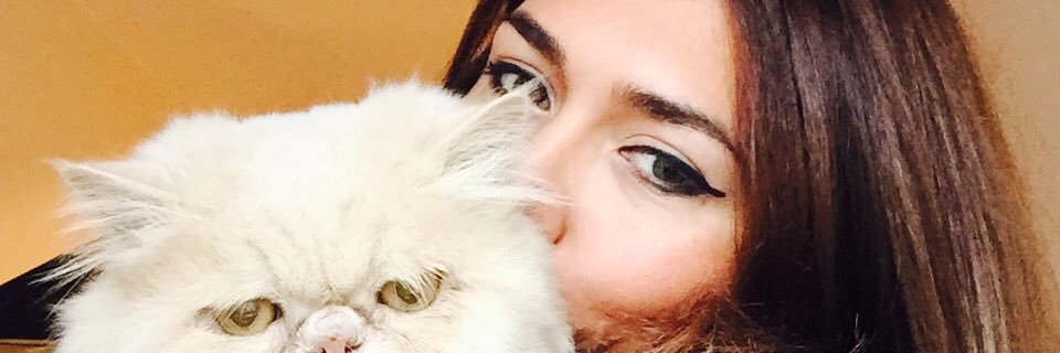 dlarayse's profile banner image