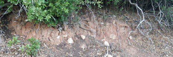 AnaNatalio Profile Banner