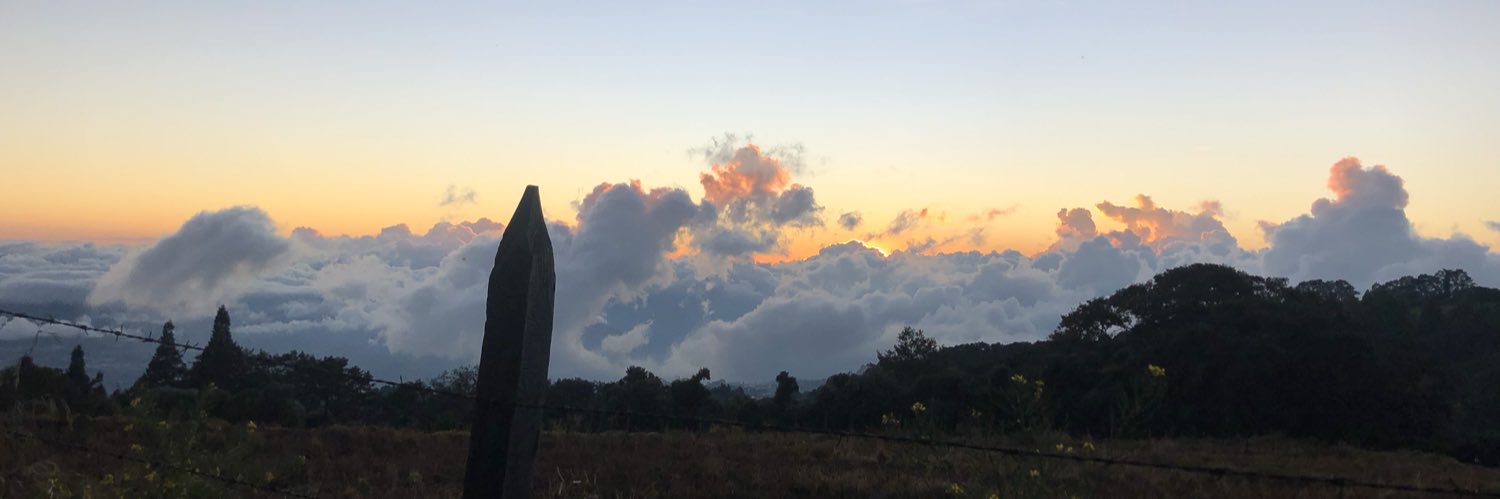 danifonsecac's profile banner image