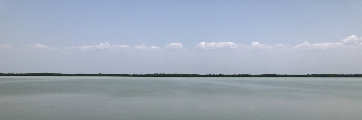 RodrigoMarrufoS's profile banner image