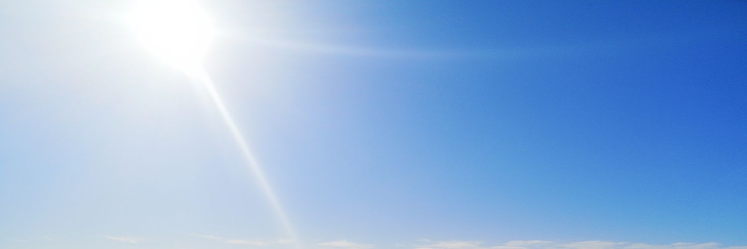 rogu banner