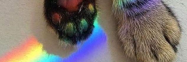 bloondo's profile banner image