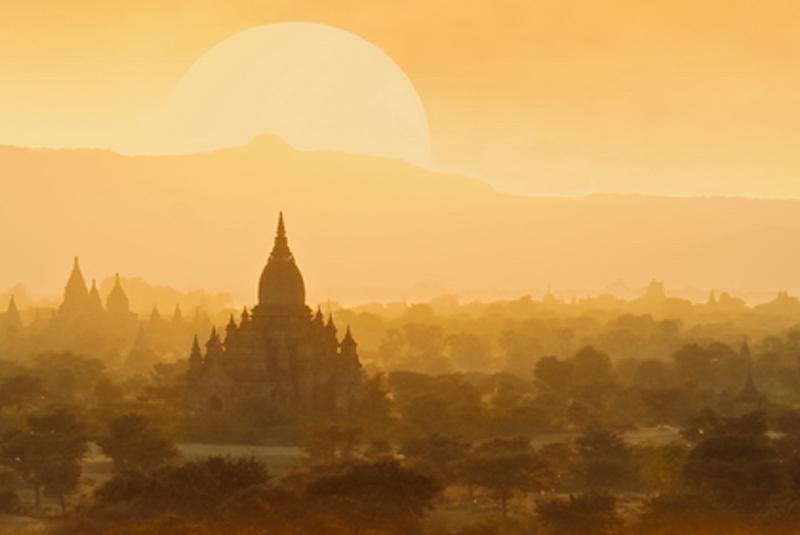 randiclia's profile banner image