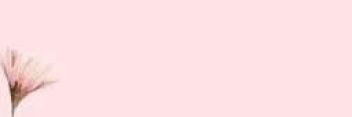 xoCOURT_'s profile banner image