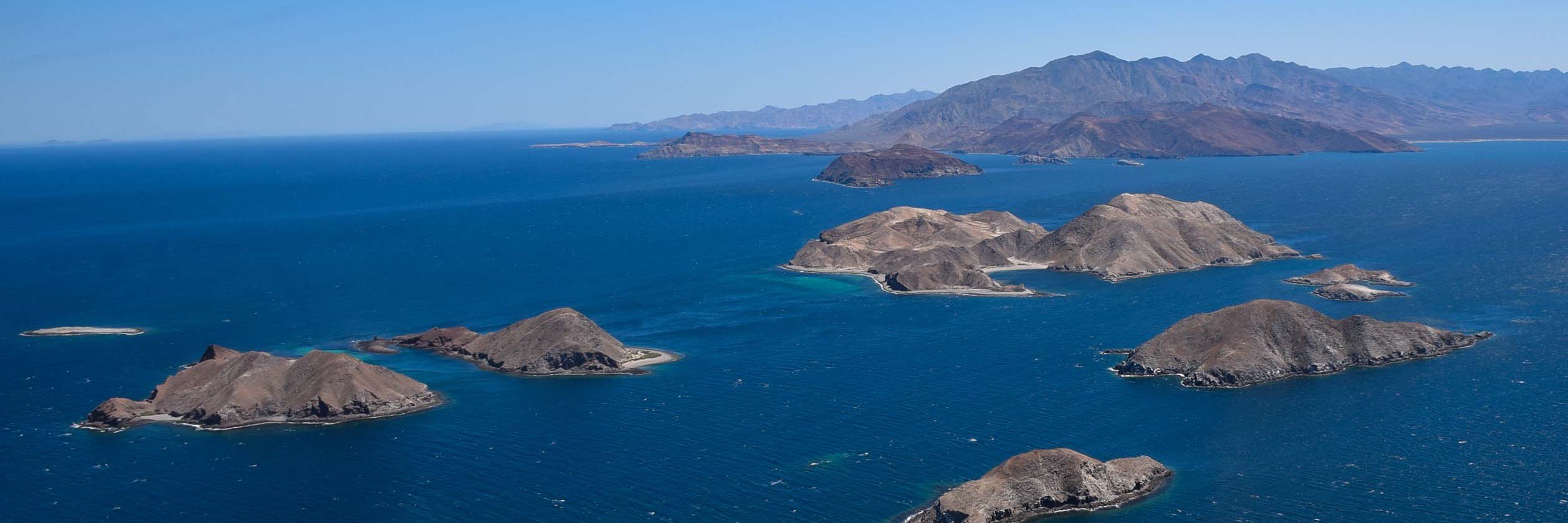 Alejandro Castillo banner