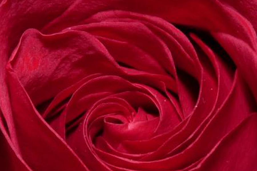 lenyloit's profile banner image