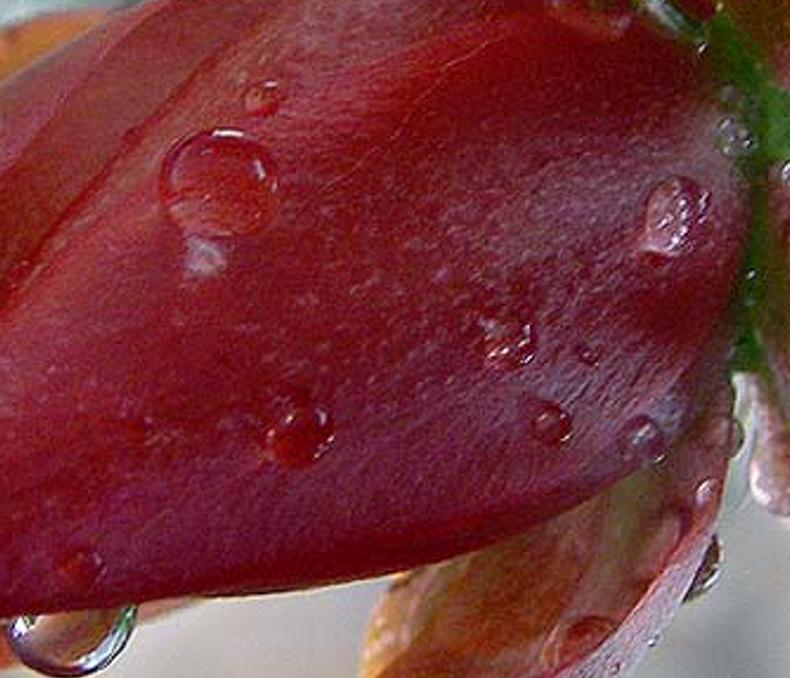 henspemyr's profile banner image