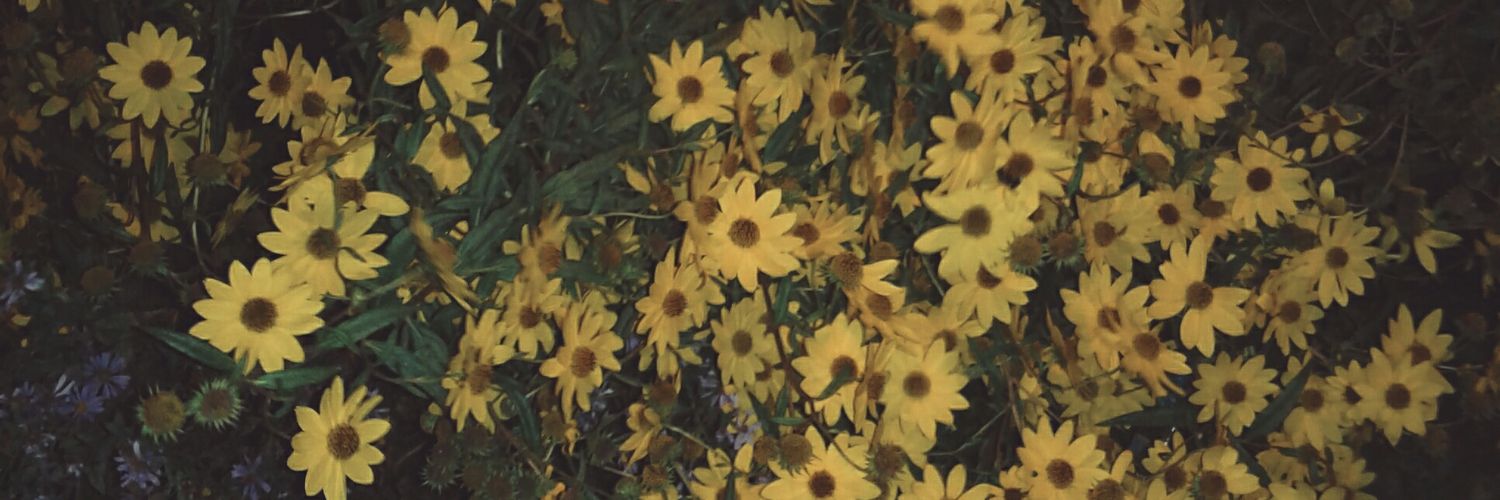 RuthLorriance's profile banner image