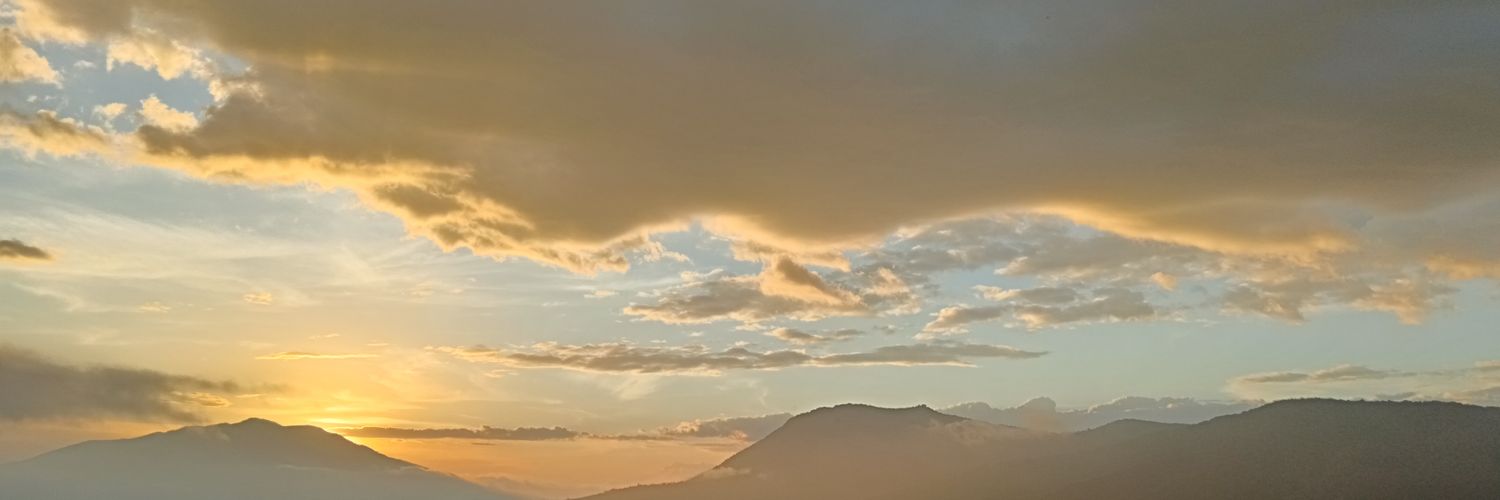 ErickJoya's profile banner image
