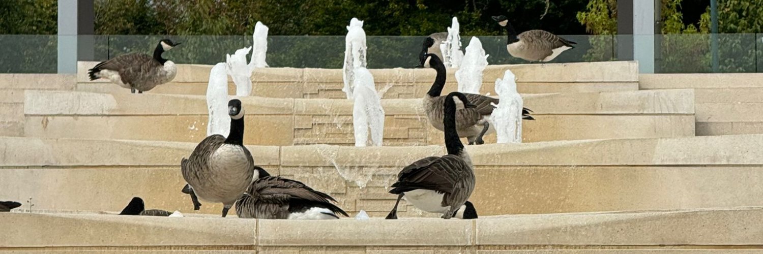 University of Nottingham Students' Union banner