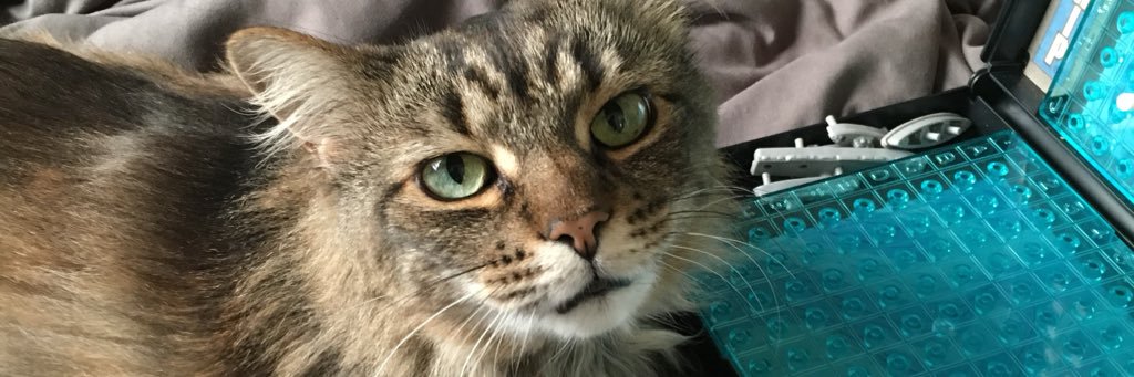 JamieHenthorn's profile banner image