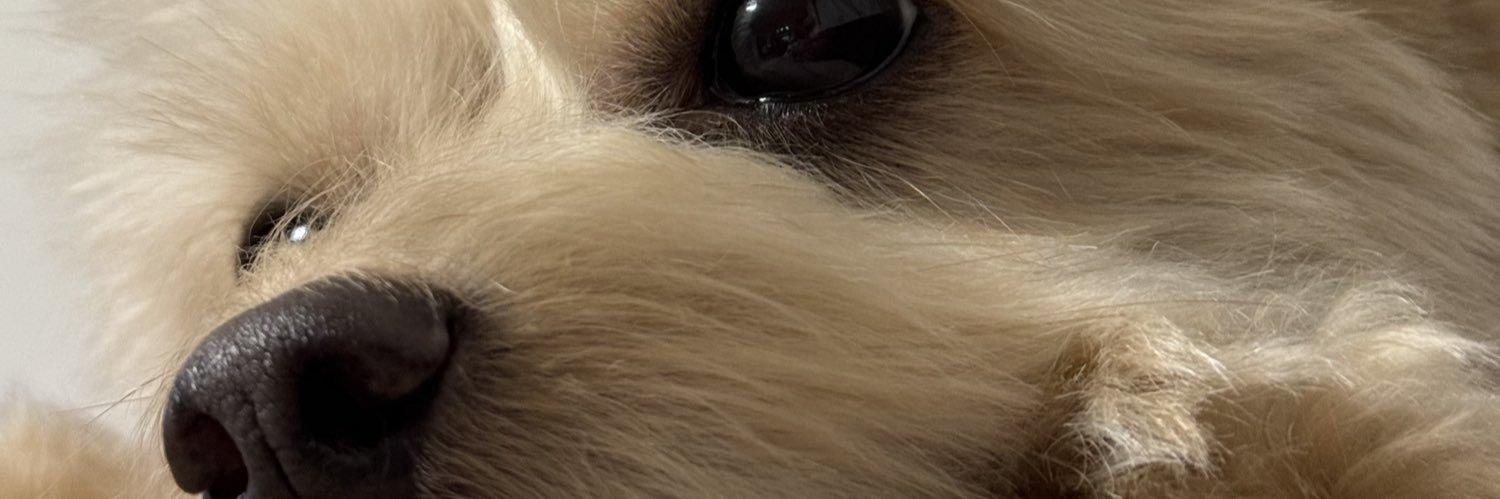 ピッケルおじさん banner