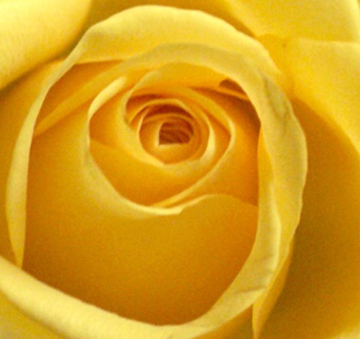 stausilyb's profile banner image