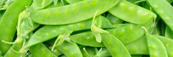 HealthEating100 Profile Banner