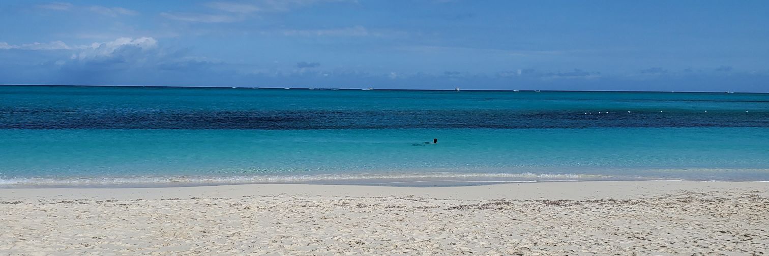 Independent Thinker banner