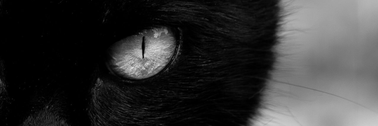 DiamondMilligan's profile banner image
