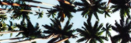 WisdomWorking banner