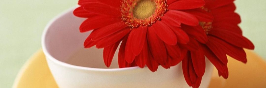 CriisBellido's profile banner image