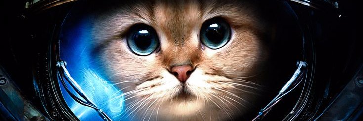 ChDPetersen's profile banner image
