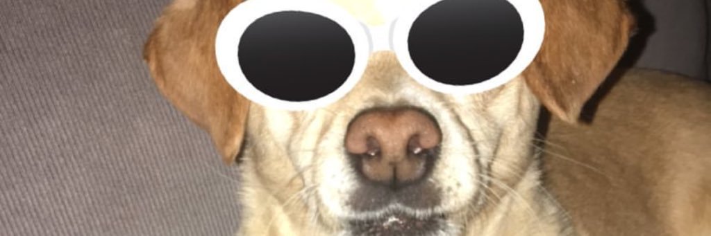 emgiulianti's profile banner image