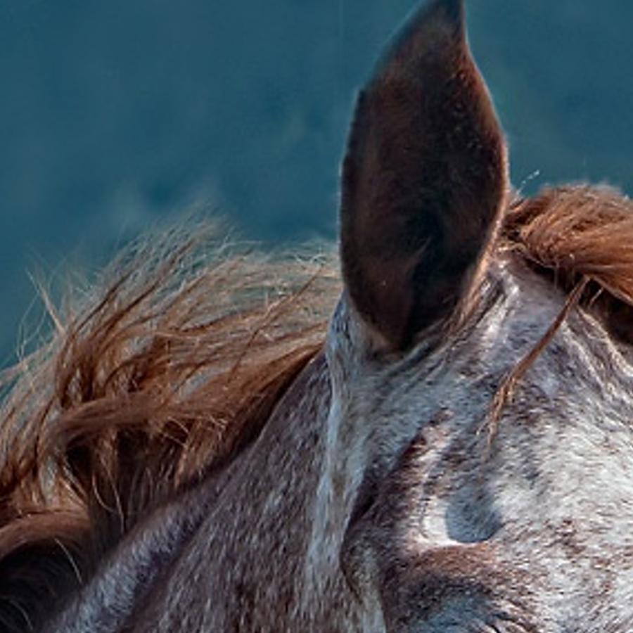 anedscas's profile banner image