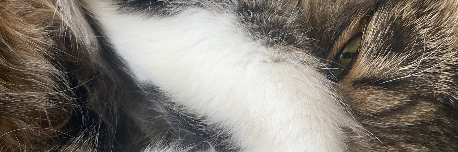 jerquejerk's profile banner image