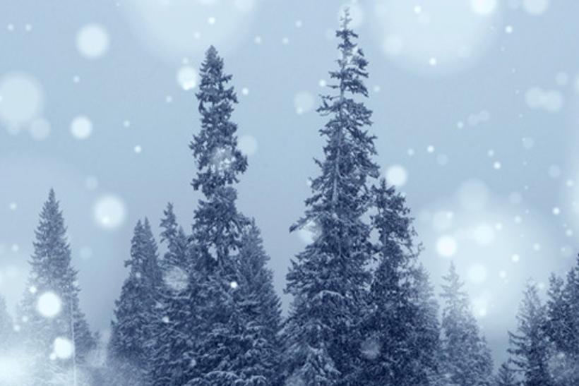 tererper's profile banner image