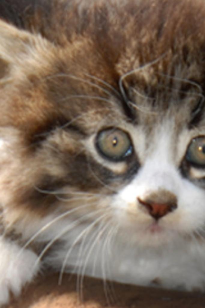 binotat's profile banner image