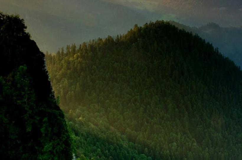 iomasler's profile banner image